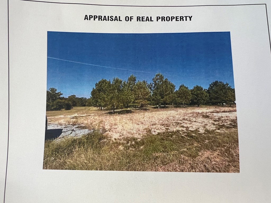1001 Crawford Creek Road Cowarts, AL 36321 - Photo 15 of 17