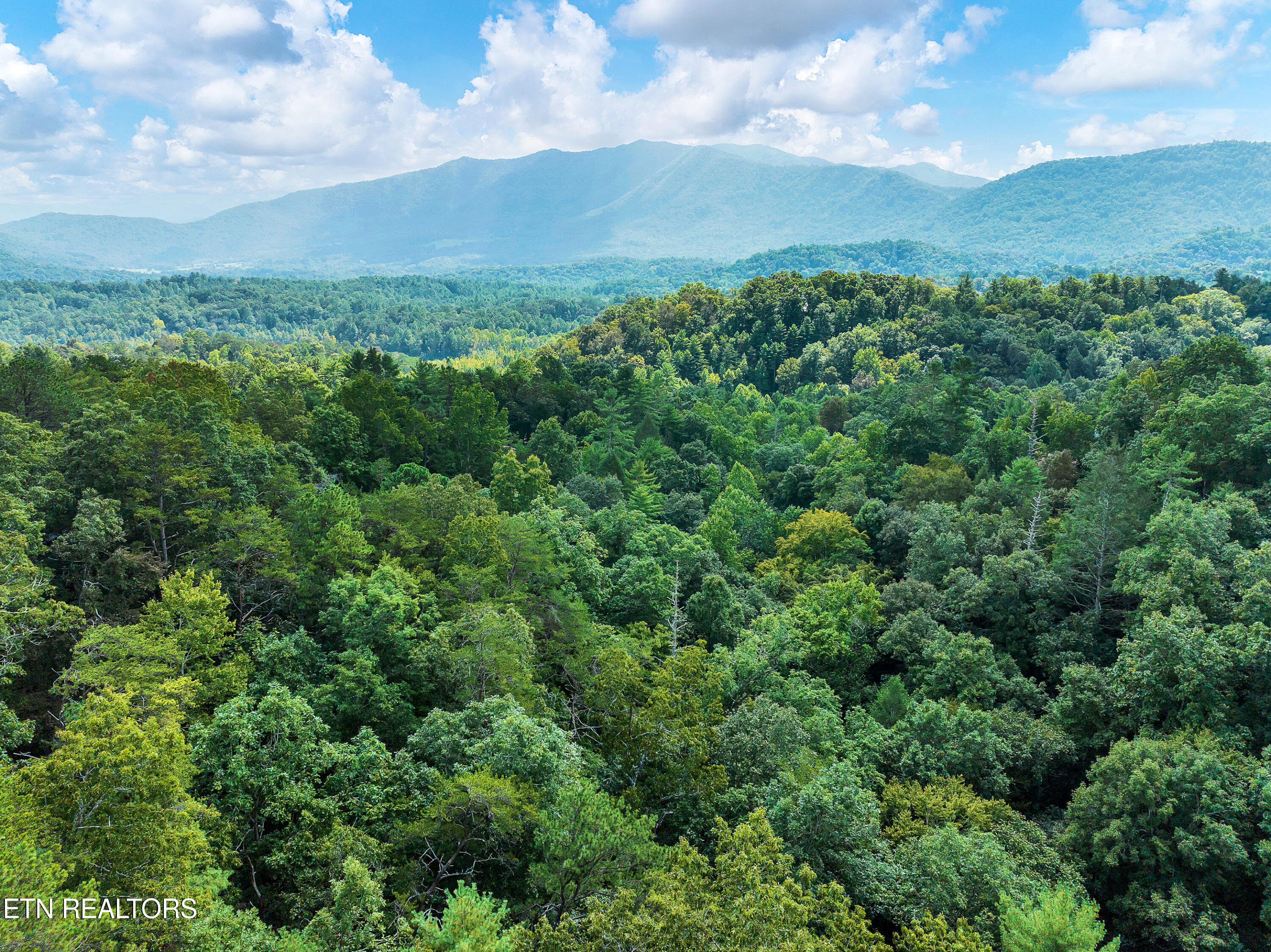 211 Cutter Gap Road Townsend, TN 37882 - Photo 3 of 33 DSC_3491-14