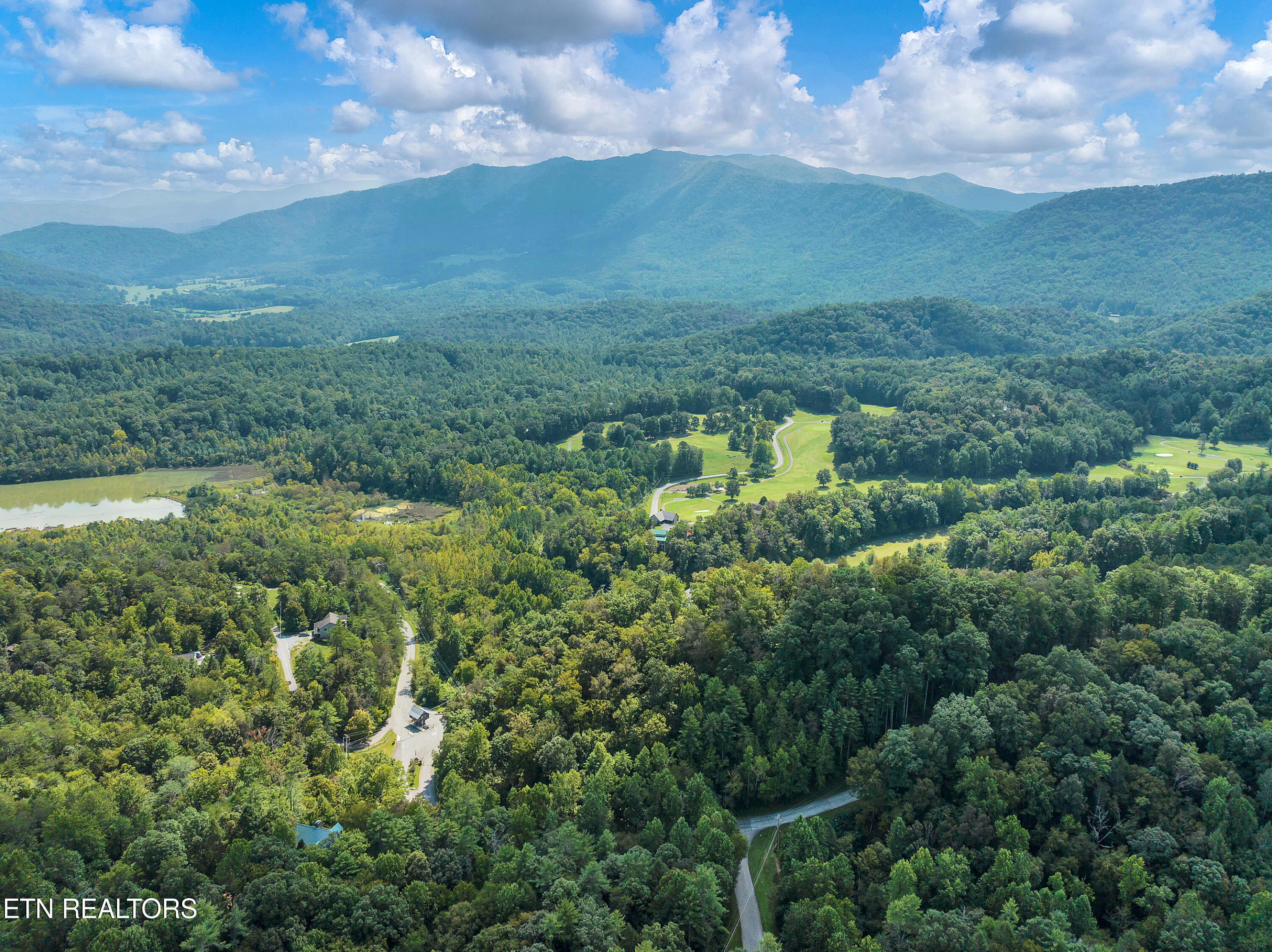 211 Cutter Gap Road Townsend, TN 37882 - Photo 4 of 33 DSC_3491-15