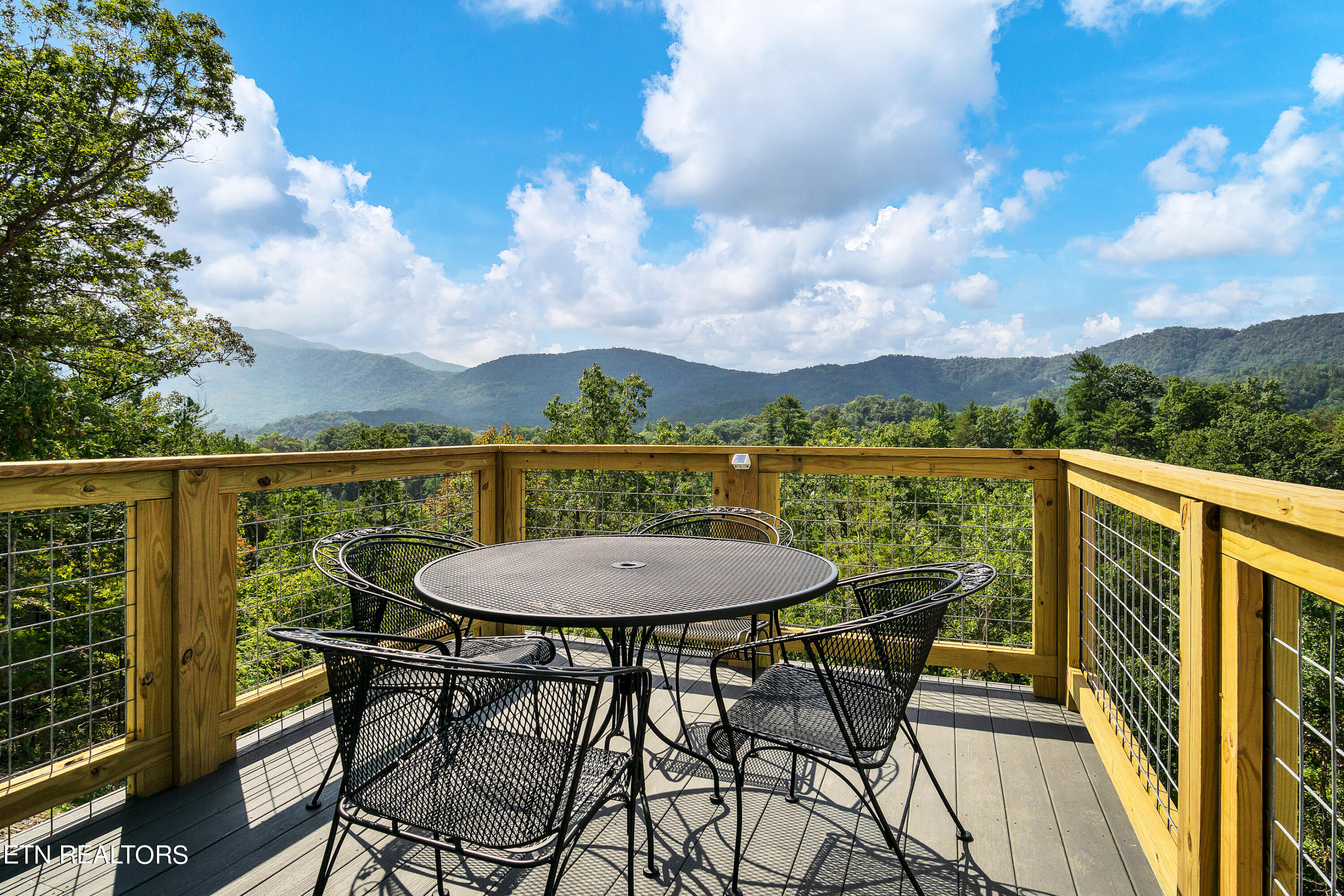 211 Cutter Gap Road Townsend, TN 37882 - Photo 6 of 33 DSC09630