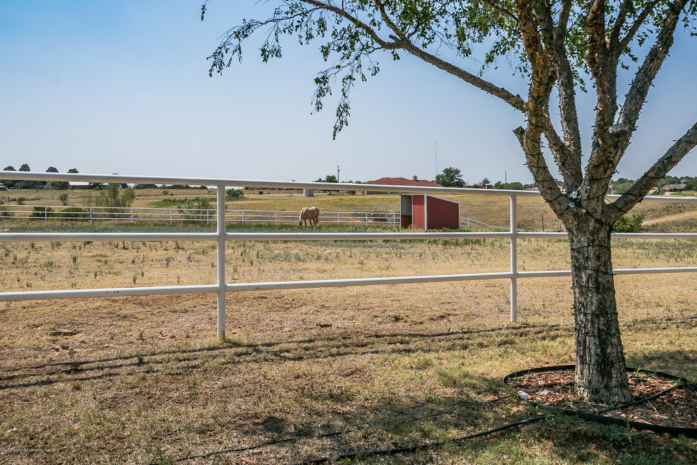 66 Helium Road Amarillo, TX 79124 - Photo 68 of 75 063_Pasture