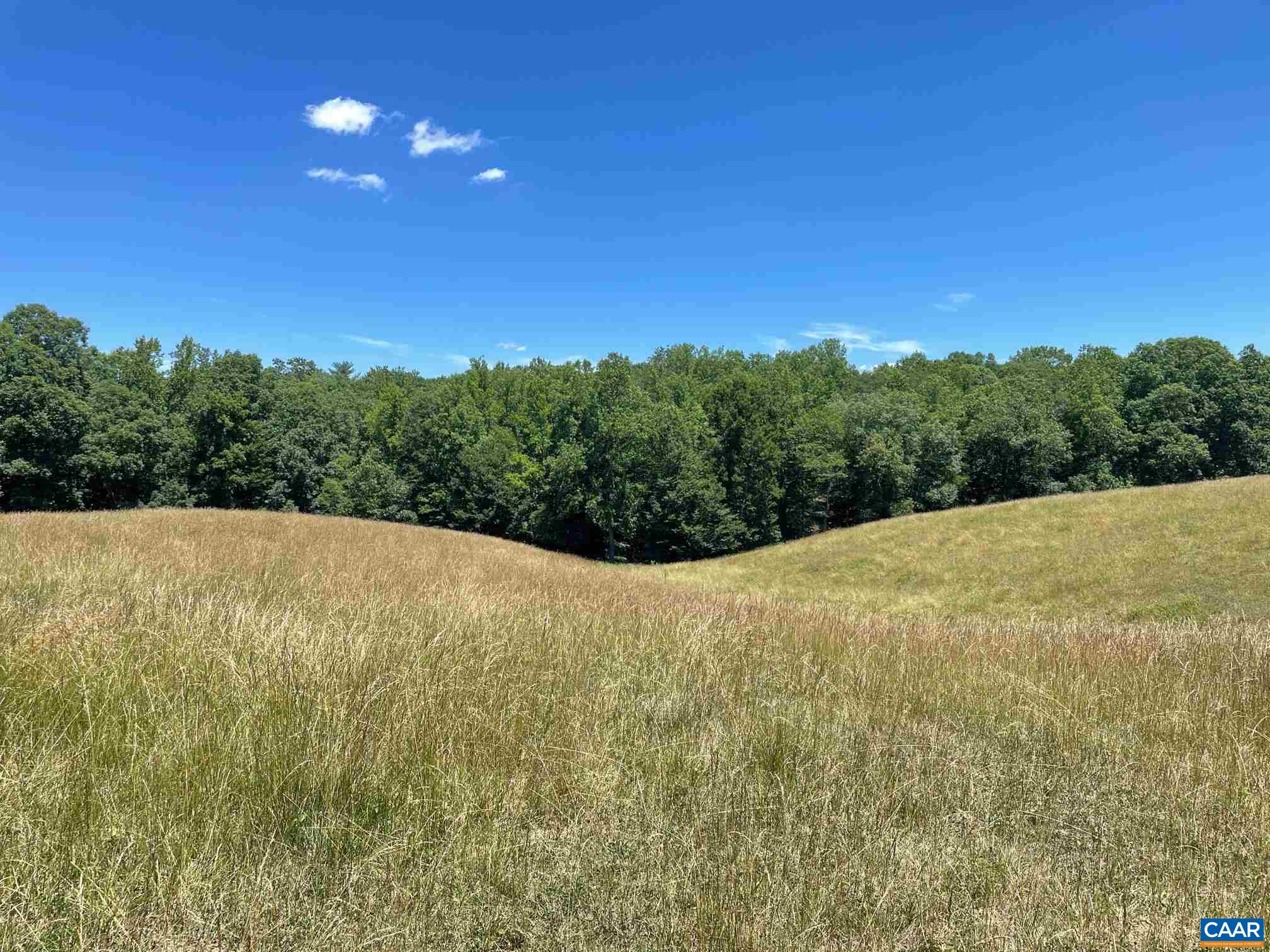 772 Poplar Spring Road Scottsville, VA 24590 - Photo 54 of 74 a view of a field with an outdoor space