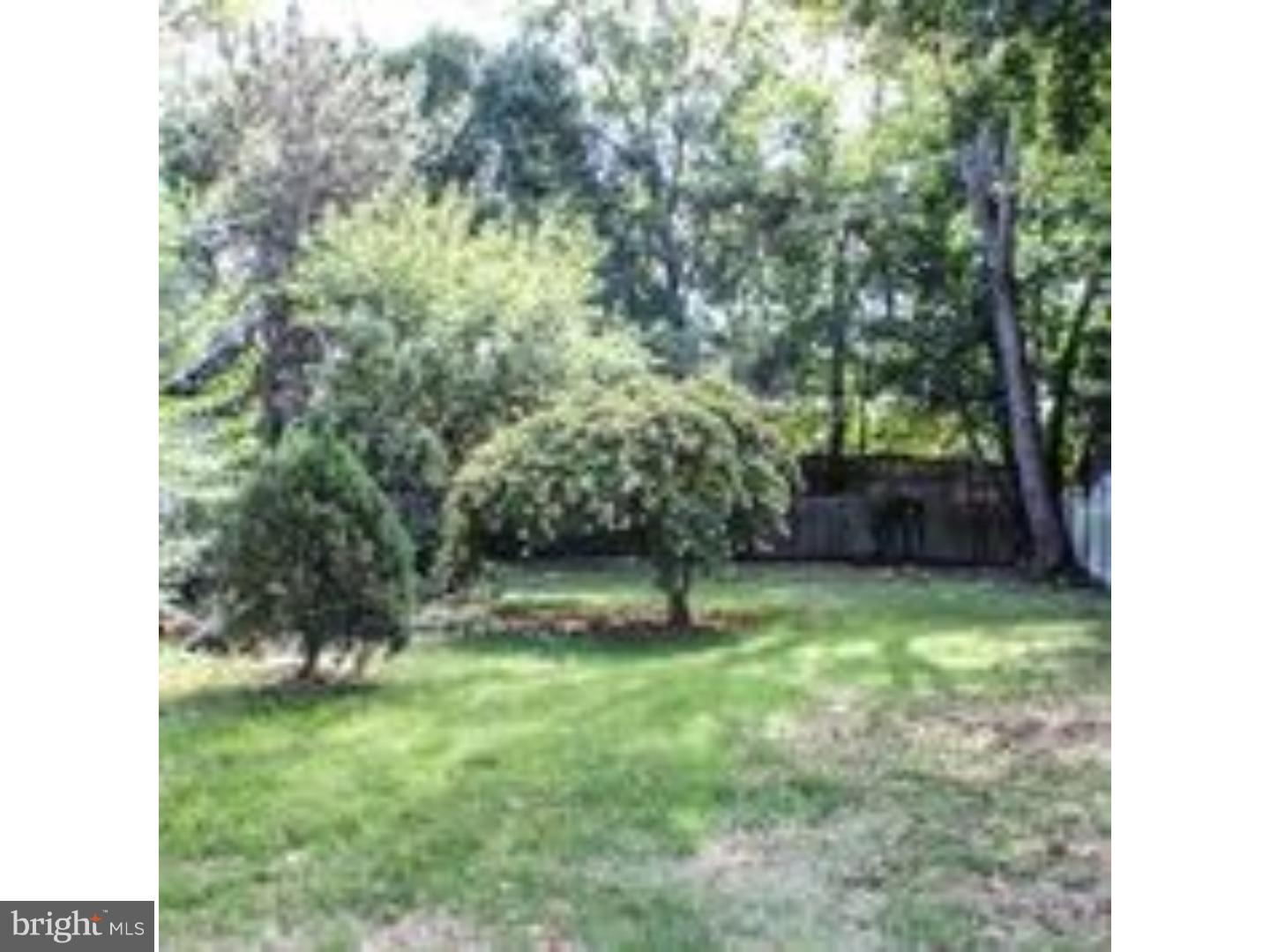 22 Harvard Road Audubon, NJ 08106 - Photo 22 of 24 Back Yard