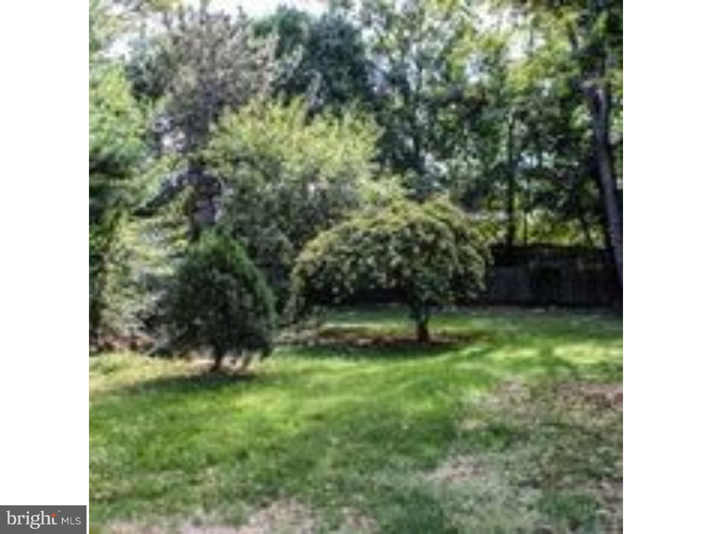 22 Harvard Road Audubon, NJ 08106 - Photo 23 of 24 Back Yard