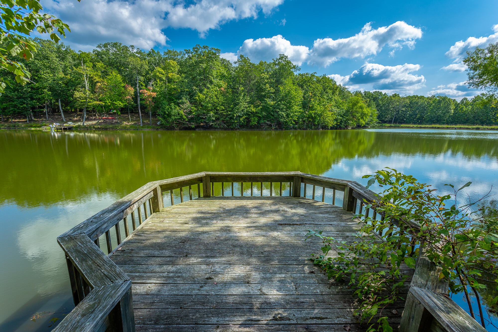 6 Highlands Forest Road Cloudland, GA 30731 - Photo 60 of 100 Gallery Image 60