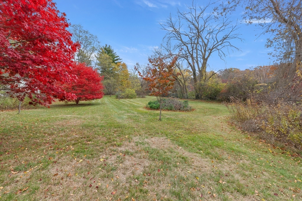 359 Kenoza Street Haverhill, MA 01830 - Photo 3 of 37 a backyard of a house with lots of green space