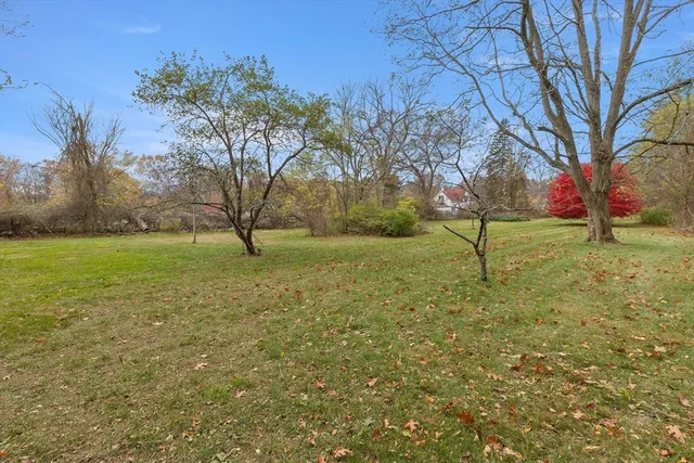 a view of a garden with trees