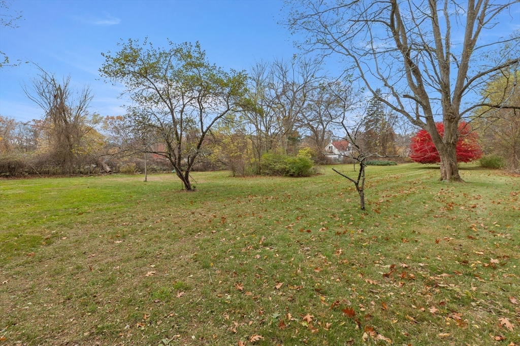 359 Kenoza Street Haverhill, MA 01830 - Photo 5 of 37 a view of a garden with trees