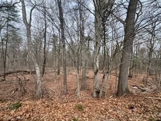 27 Sunset Drive Randolph, MA 02368 - Photo 34 of 37 a big yard with lots of green space