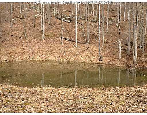 2100 Providence Road Elizabeth, WV 26143 - Photo 8 of 16 Land.
