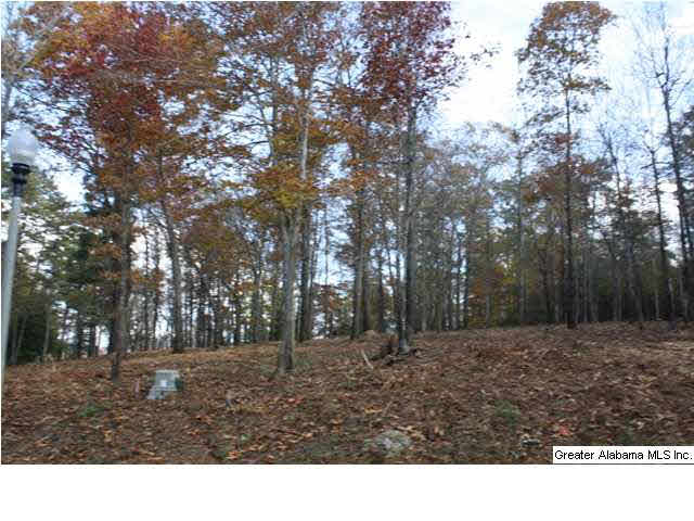 Peyton Place, Unit 3 Weaver, AL 36277 - Photo 23 of 40