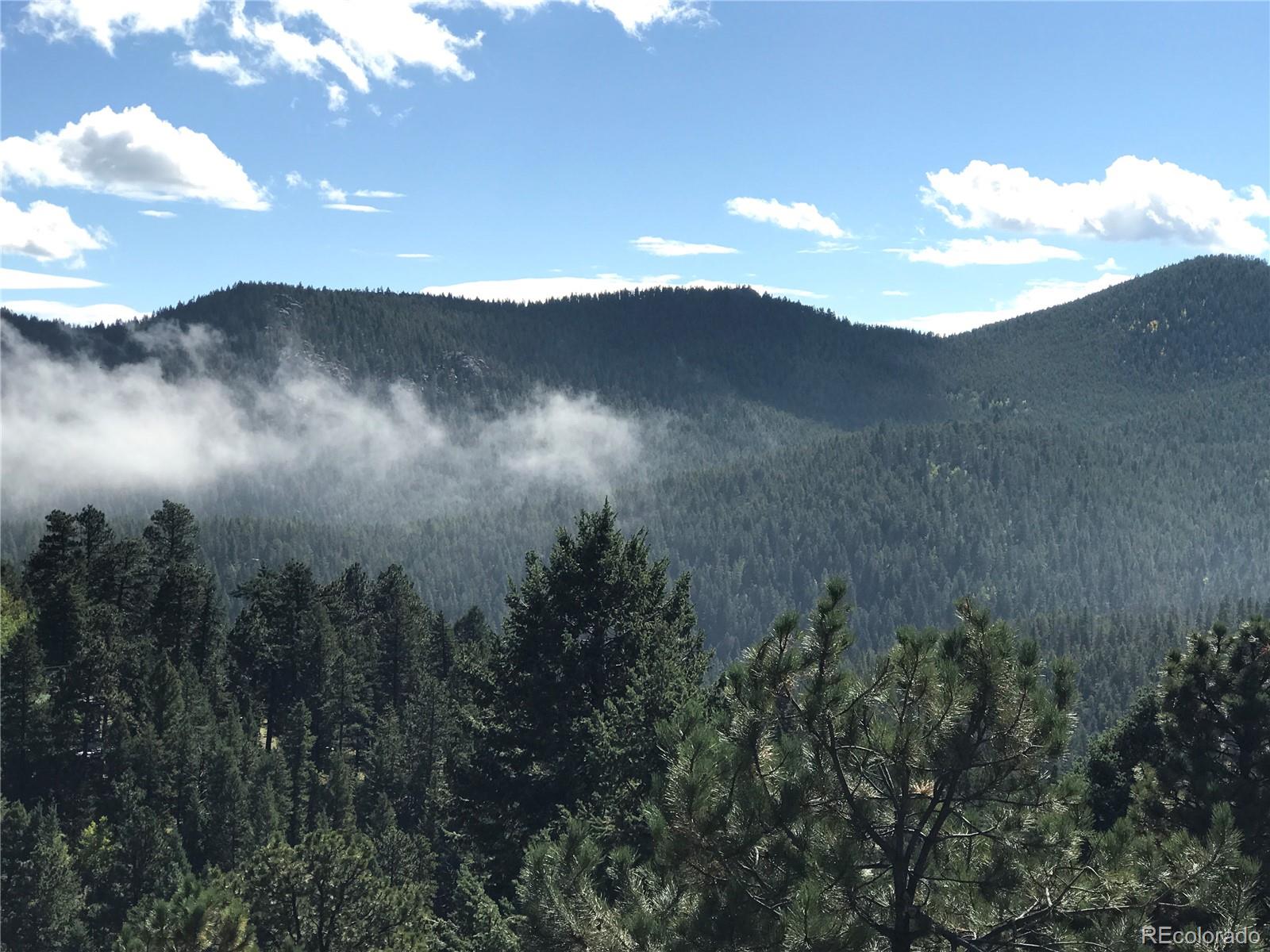 7290-2 Timber Trail Road Evergreen, CO 80439 - Photo 3 of 4