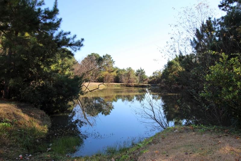 7829 Seafield Road Hollywood, SC 29449 - Photo 14 of 35 Stocked pond with blue gill... & others