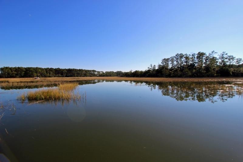 7829 Seafield Road Hollywood, SC 29449 - Photo 15 of 35 Davison Creek at it's finest!