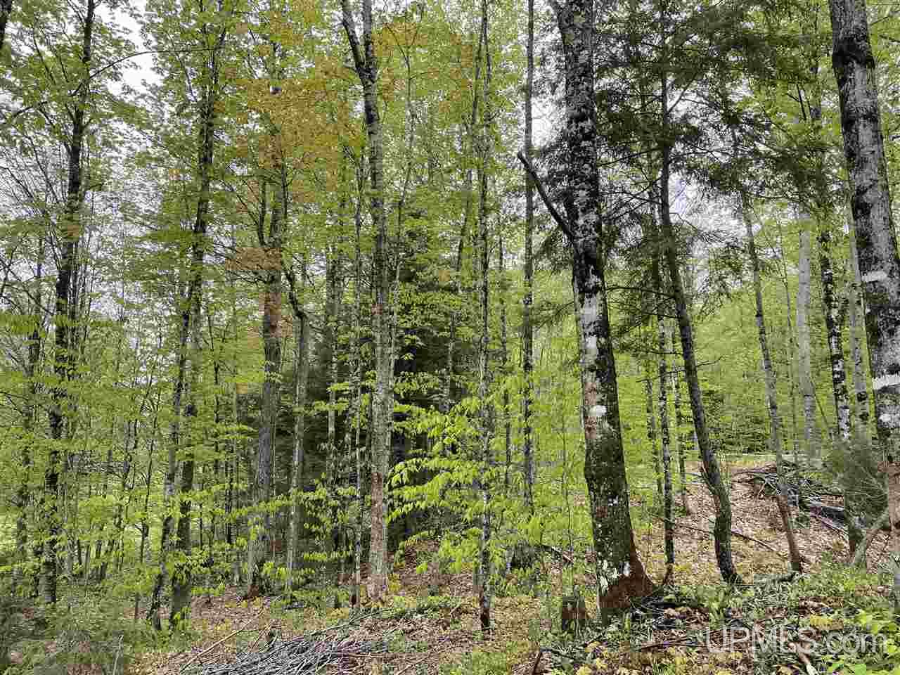 0 County Road 577 Road, Unit ANNA RIVER RDP Munising, MI 49862 - Photo 23 of 26