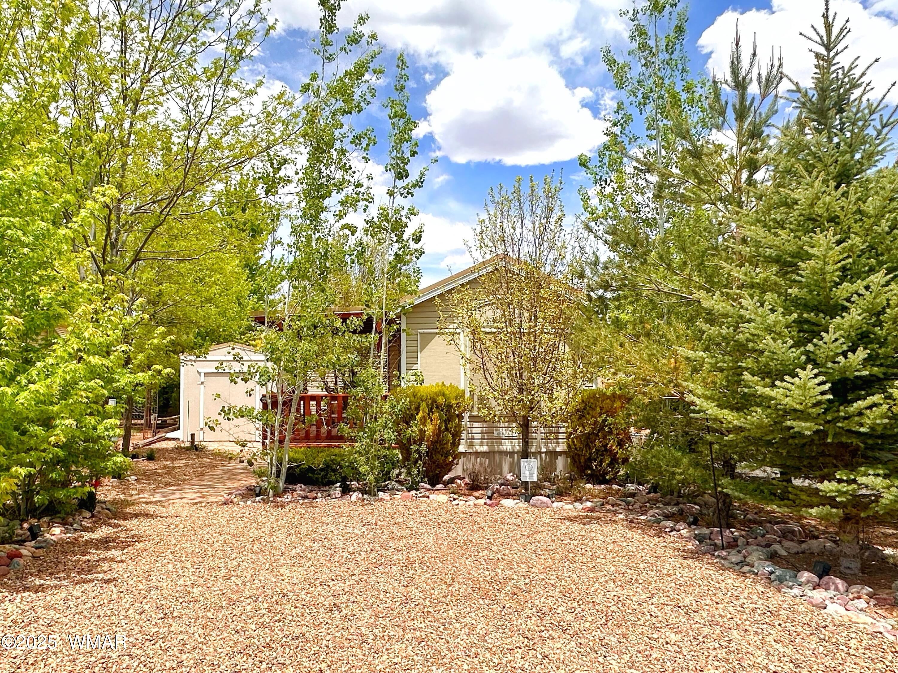 2236 Rodeo Road Overgaard, AZ 85933 - Photo 3 of 12 IMG_0619