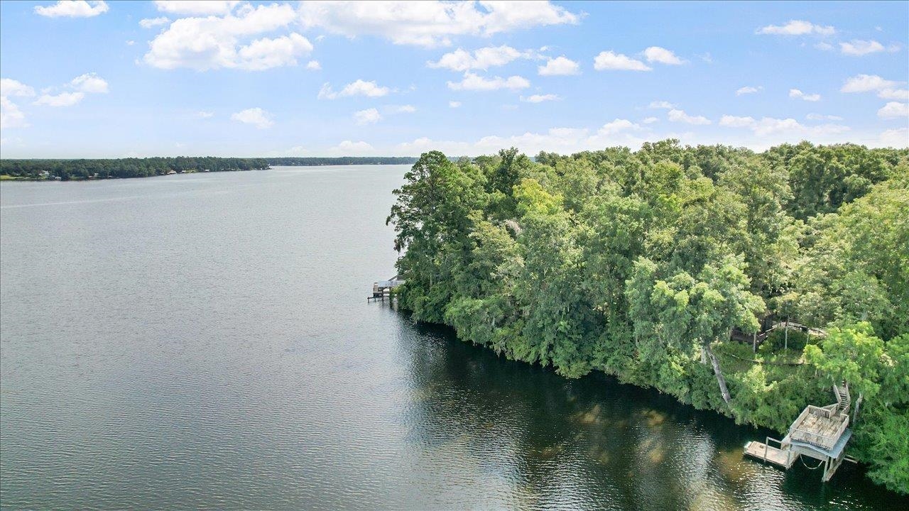 Parramore Shores Road Tallahassee, FL 32310 - Photo 23 of 31