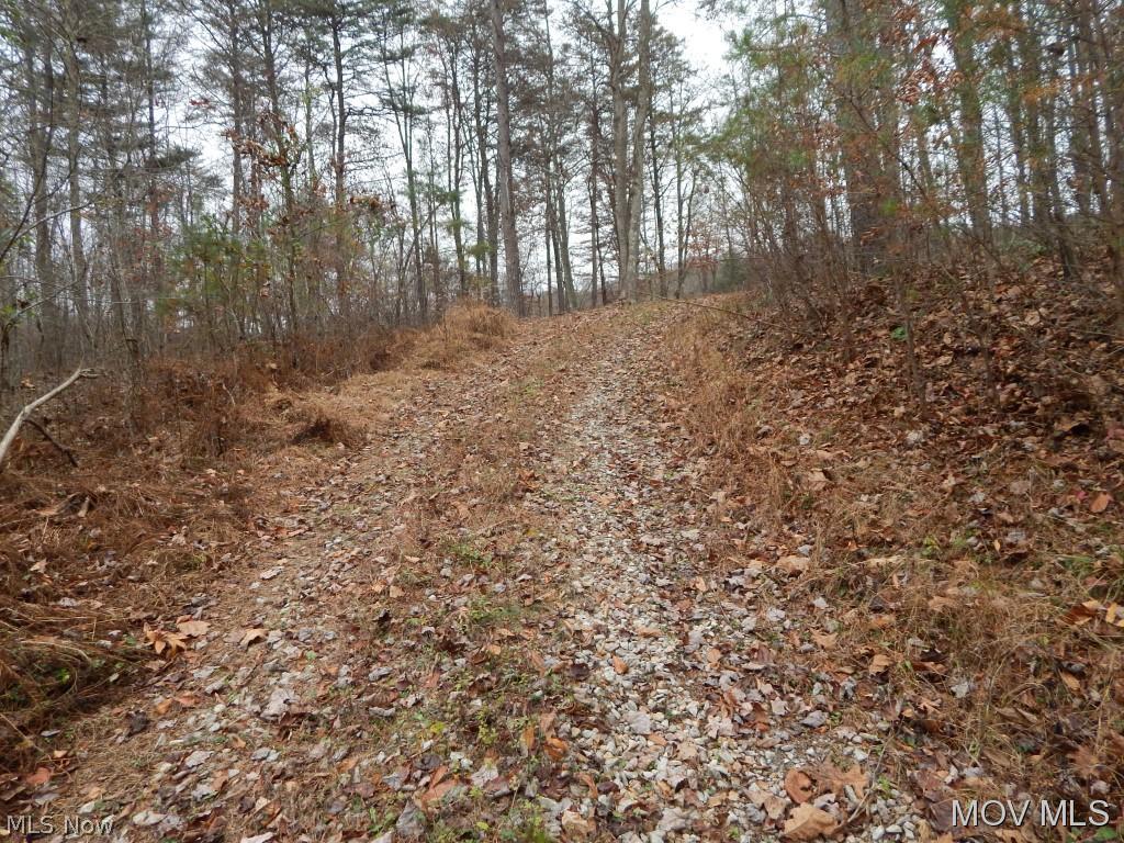 0 State Park Road Harrisville, WV 26362 - Photo 8 of 11