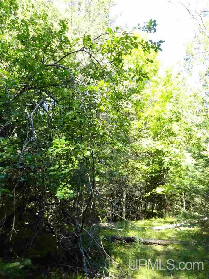 6386 Co Rd 432 Rock, MI 49880 - Photo 29 of 39
