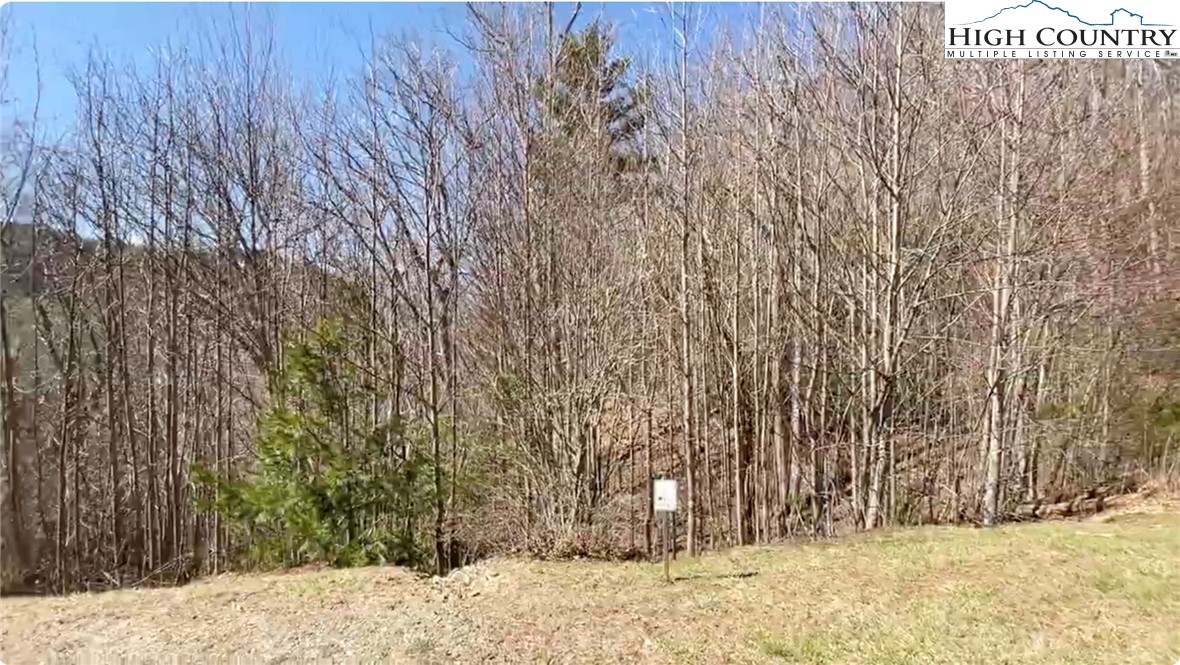 Lot 11-12 Sunset Ridge Drive Boone, NC 28607 - Photo 4 of 28