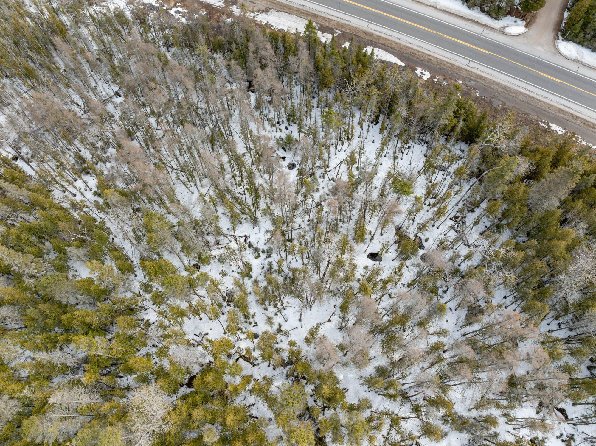 27 North 3 Mile Road Hessel, MI 49745 - Photo 45 of 49 DJI_20260415050810_0269_D