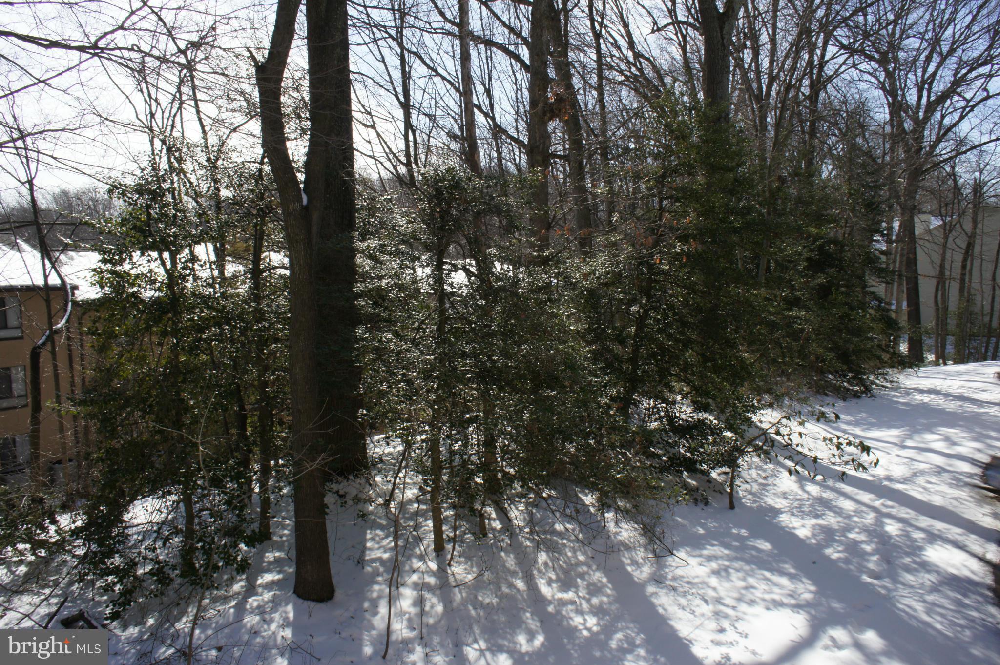 2220 Castle Rock Square, Unit 12C Reston, VA 20191 - Photo 14 of 16 a view of forest