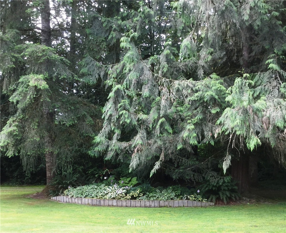 6201 River Valley Road Granite Falls, WA 98252 - Photo 18 of 21 Gallery Image 18