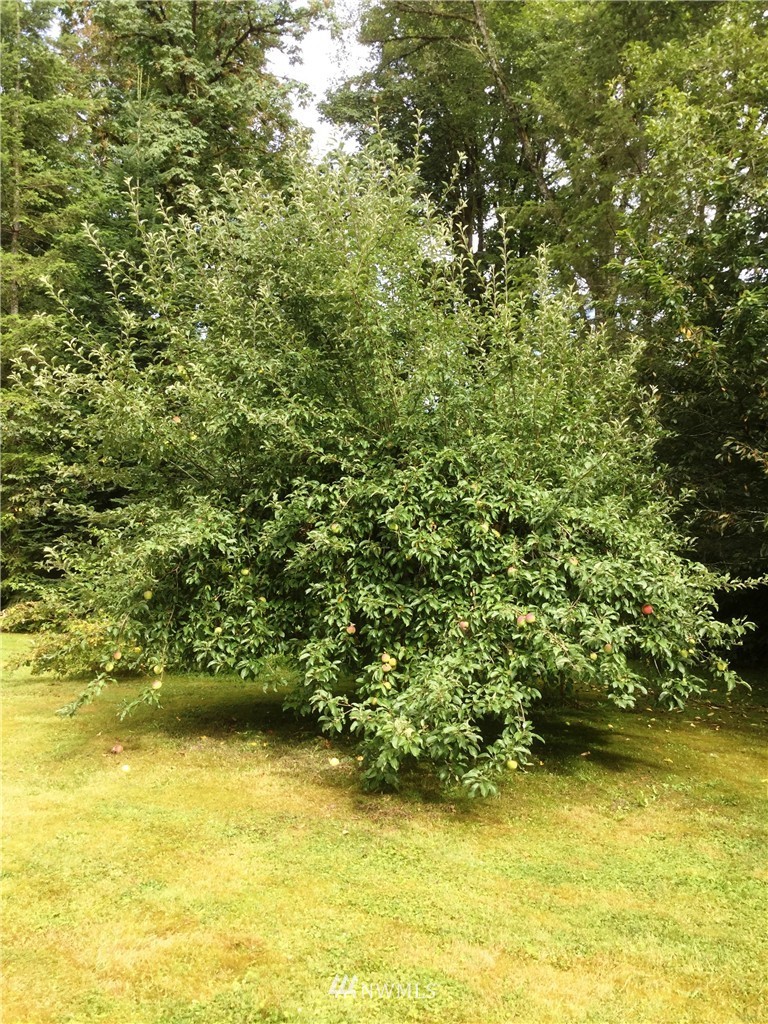 6201 River Valley Road Granite Falls, WA 98252 - Photo 20 of 21 Gallery Image 20