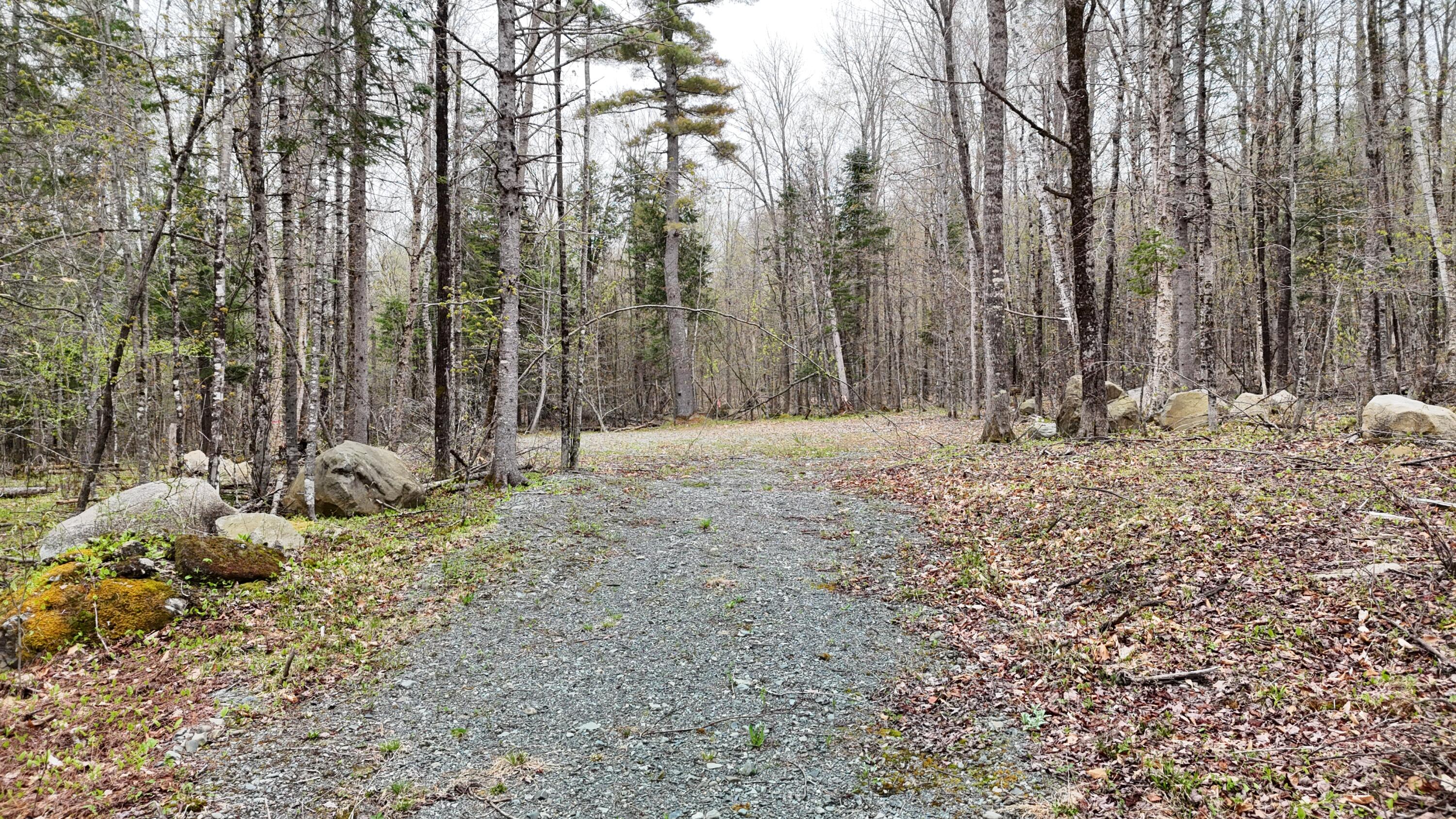Lot 1 Turtle Cove Road Sebec, ME 04481 - Photo 11 of 20 DJI_20250509120628_0532_D