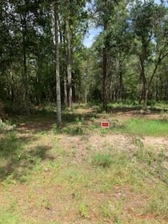 0 Cypress Street Lacombe, LA 70445 - Photo 3 of 3