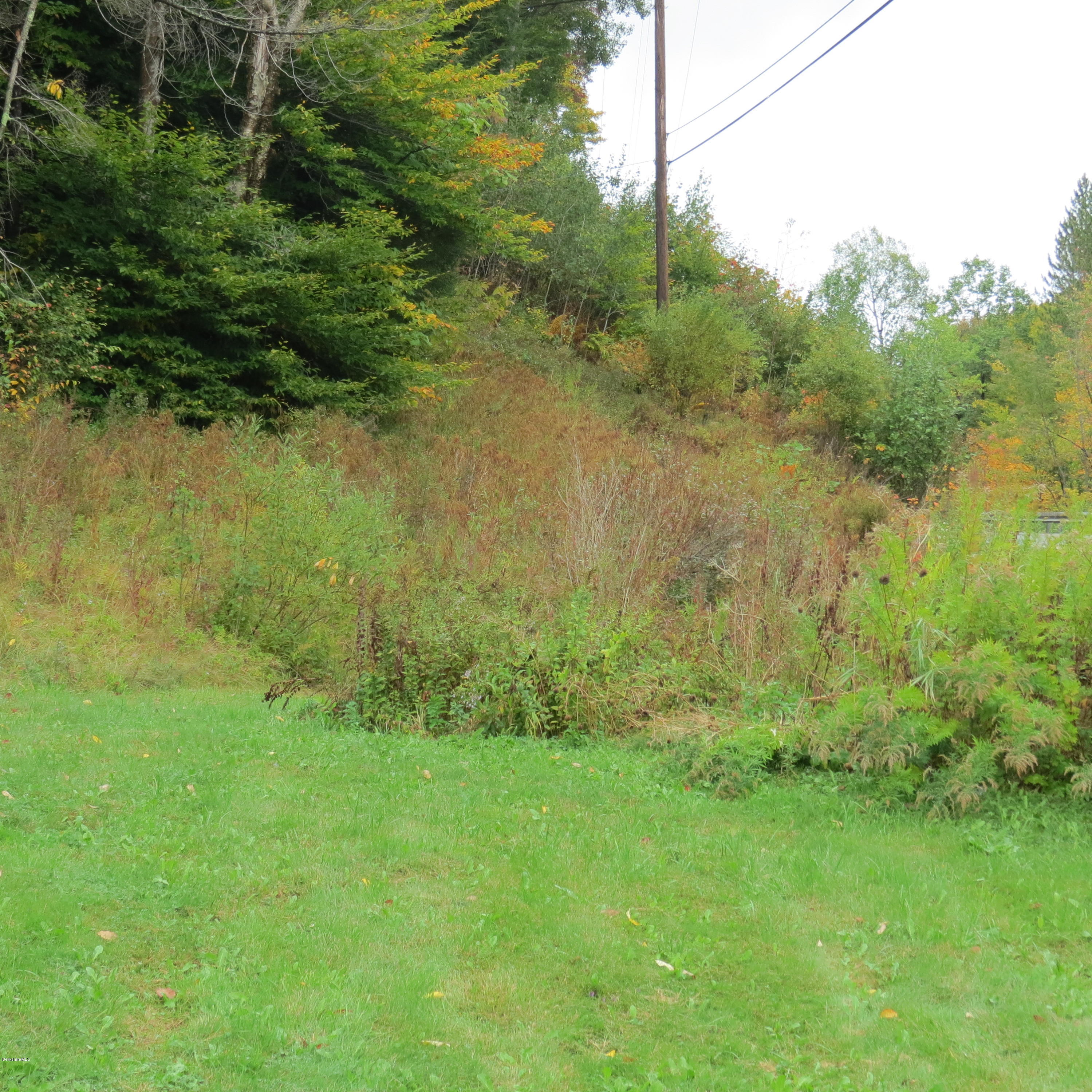 4733 Main Road Stamford, VT 05352 - Photo 24 of 39 a view of a garden with a lake