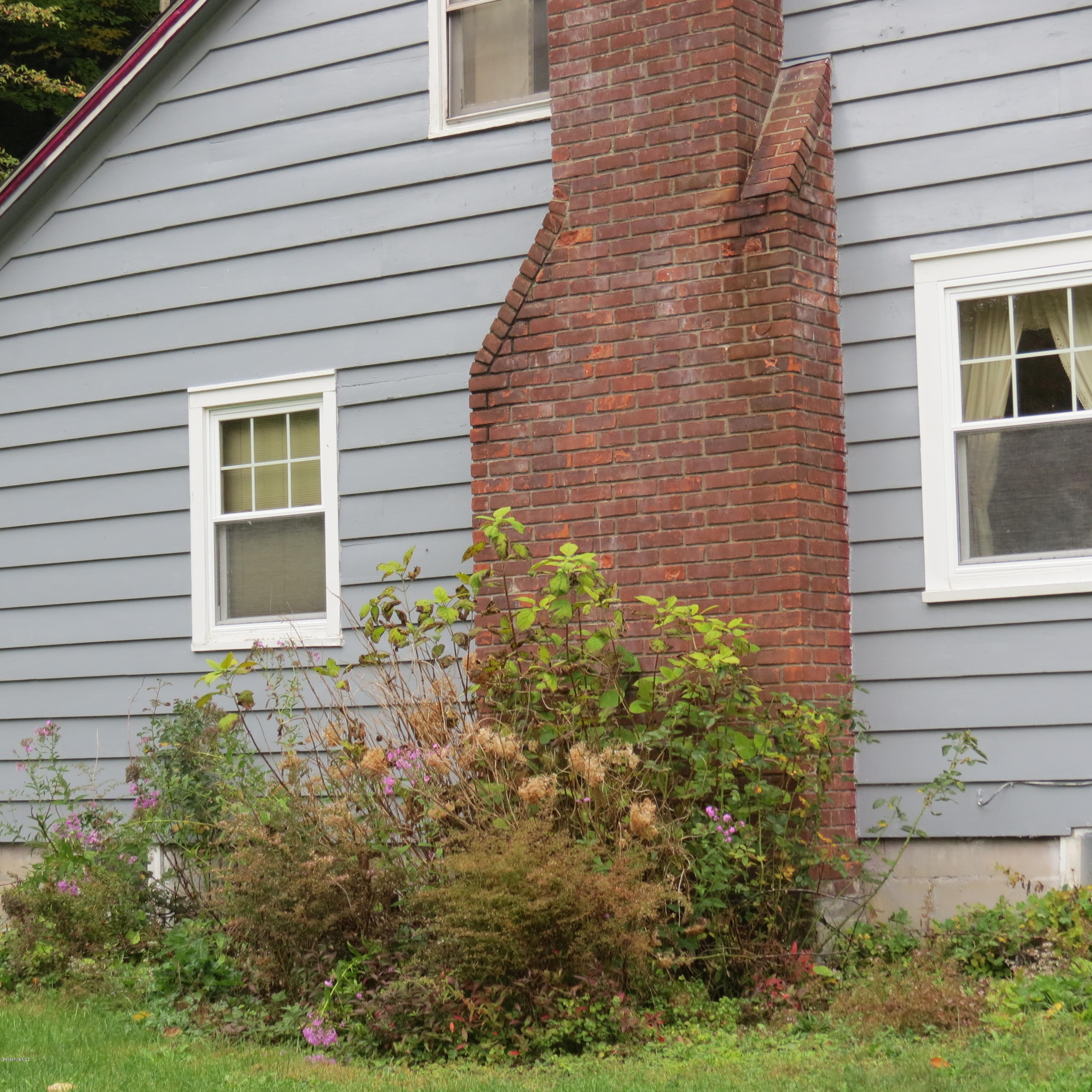 4733 Main Road Stamford, VT 05352 - Photo 27 of 39 a view of a backyard with plants and large tree