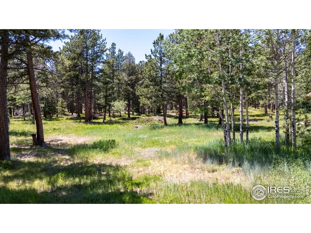 $1,195,000 | 187 Lynx Drive, Ward, CO 80481