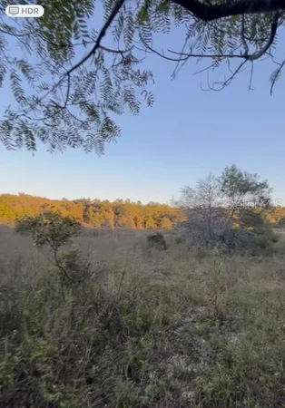 a view of a dry yard with trees in the background