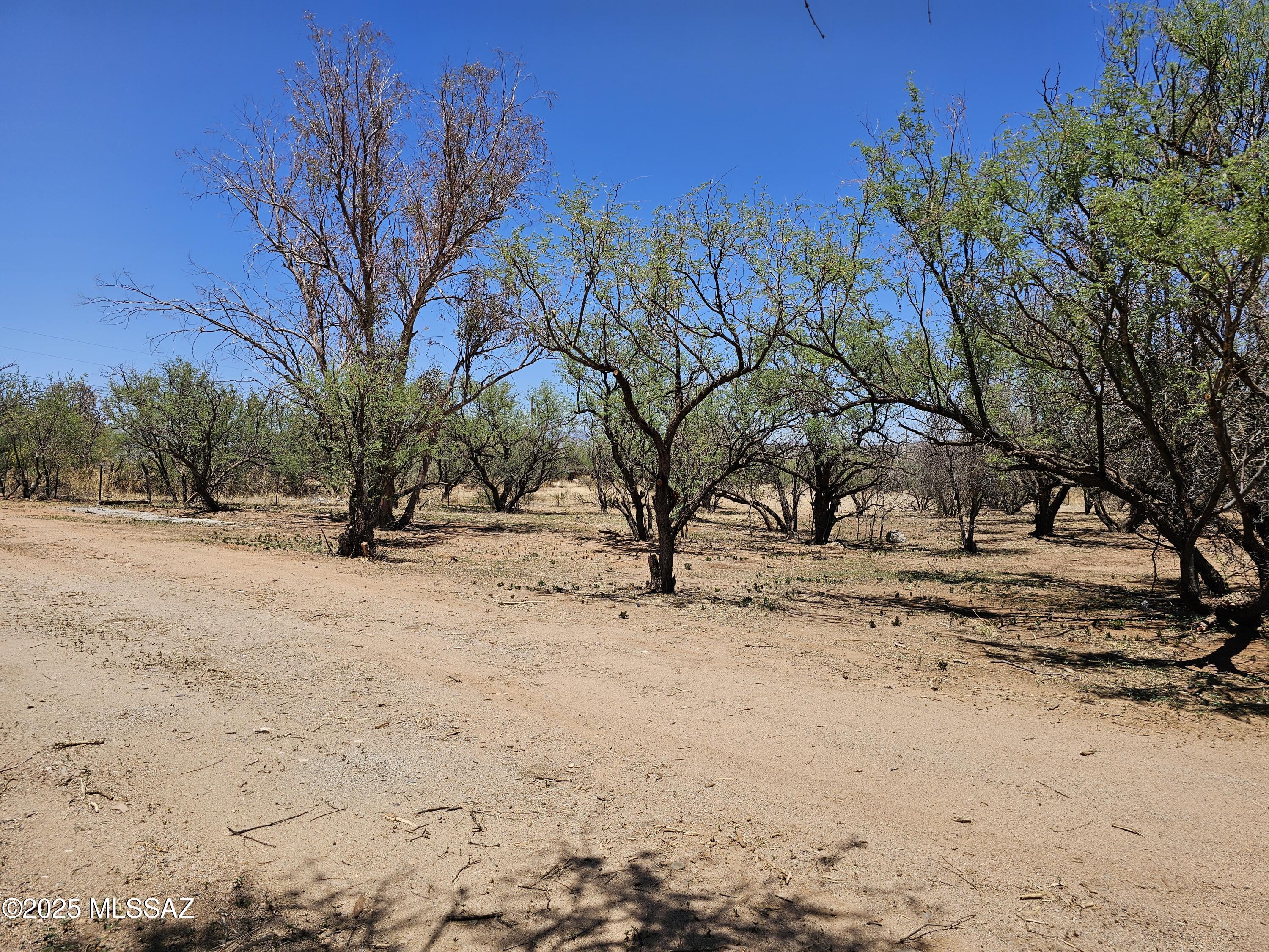507 South River Road Nogales, AZ 85648 - Photo 26 of 27 Gallery Image 26