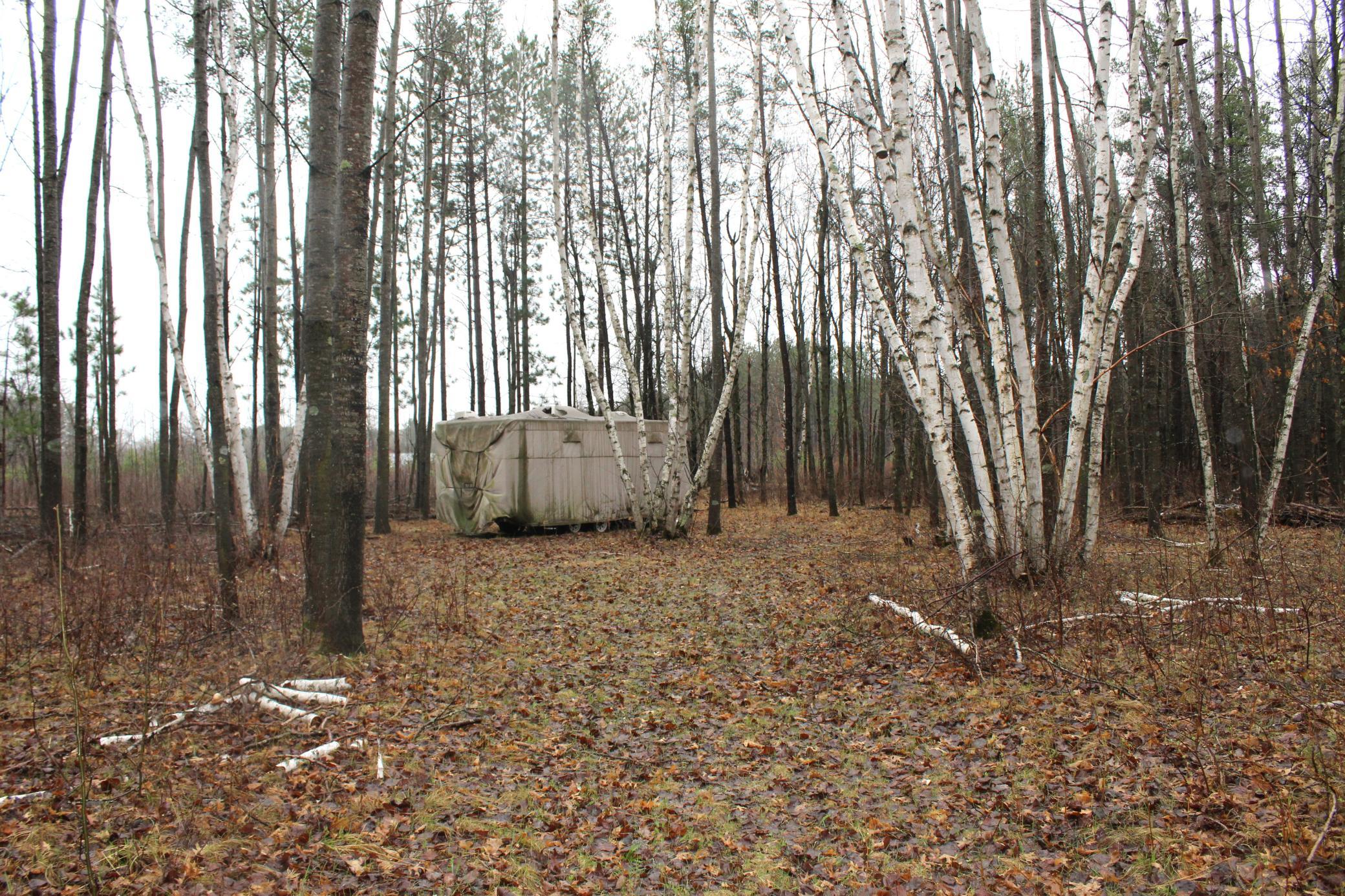 Tbd 470th Street Motley, MN 56466 - Photo 3 of 6