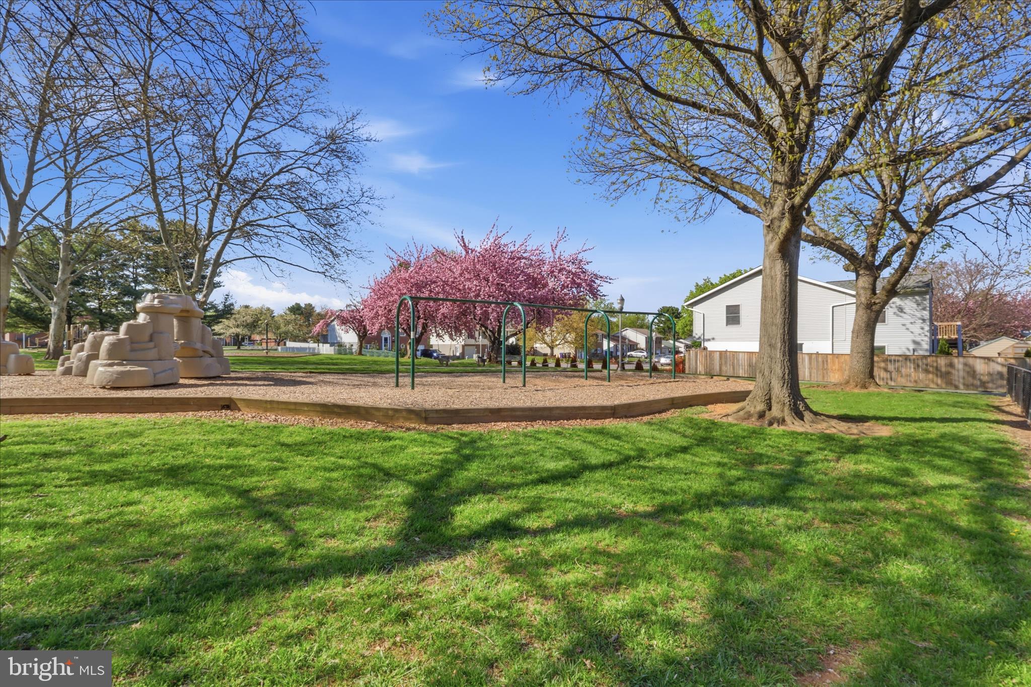 294 Pinoak Drive Frederick, MD 21701 - Photo 30 of 31 a view of yard with tree s