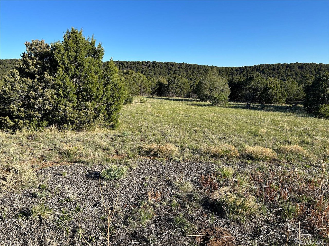 165 Silver Spur Road Walsenburg, CO 81089 - Photo 12 of 18 a view of a yard