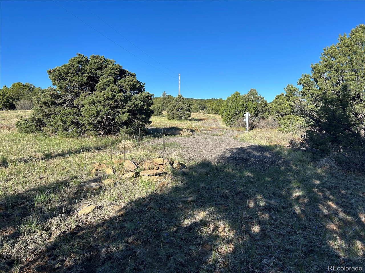 165 Silver Spur Road Walsenburg, CO 81089 - Photo 16 of 18 a view of a yard with a tree