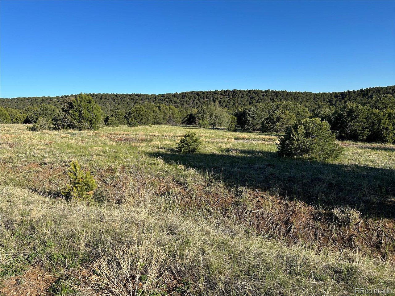 165 Silver Spur Road Walsenburg, CO 81089 - Photo 18 of 18 a view of a yard with an outdoor space