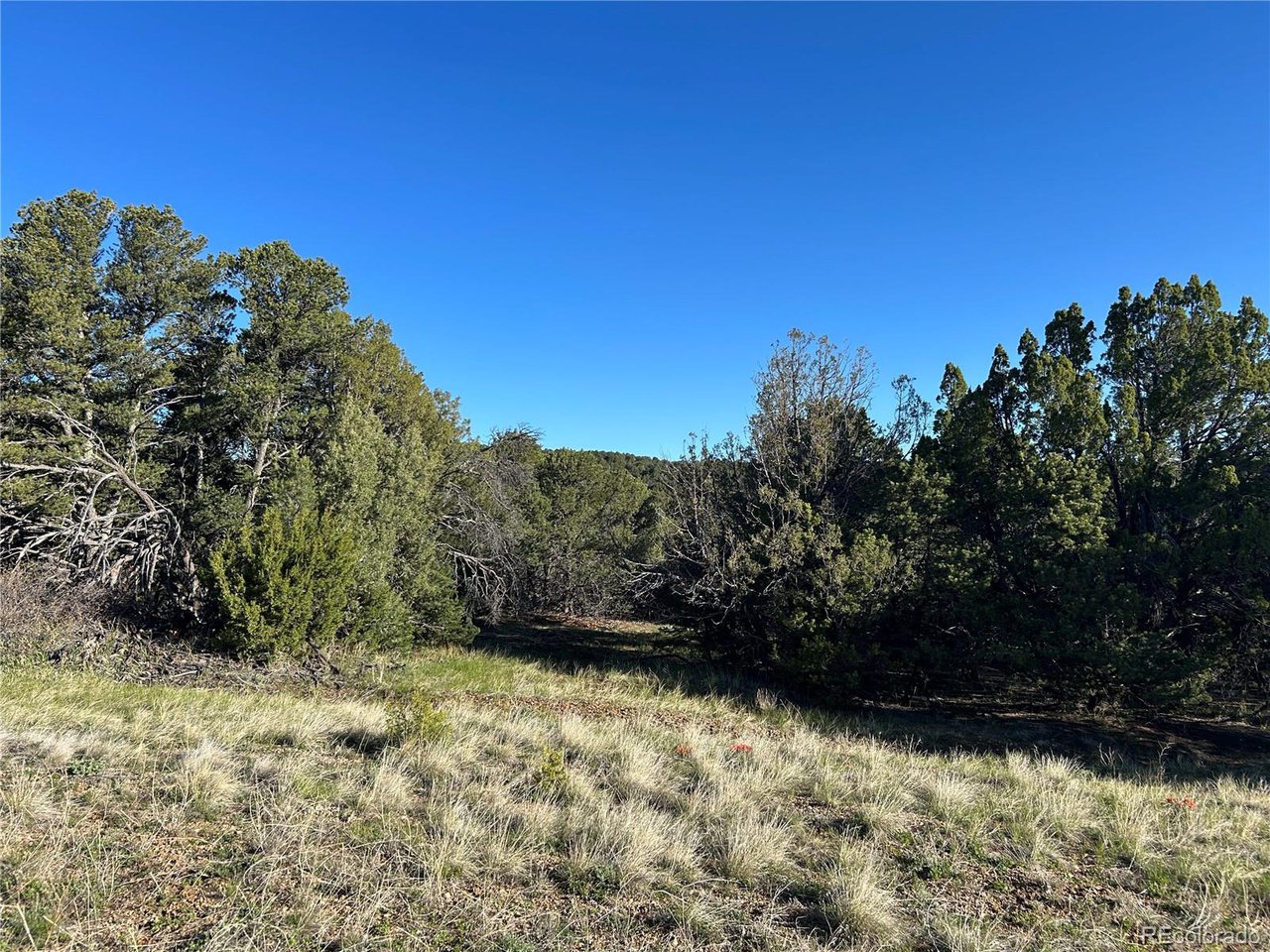 165 Silver Spur Road Walsenburg, CO 81089 - Photo 8 of 18 a view of backyard with wooden fence