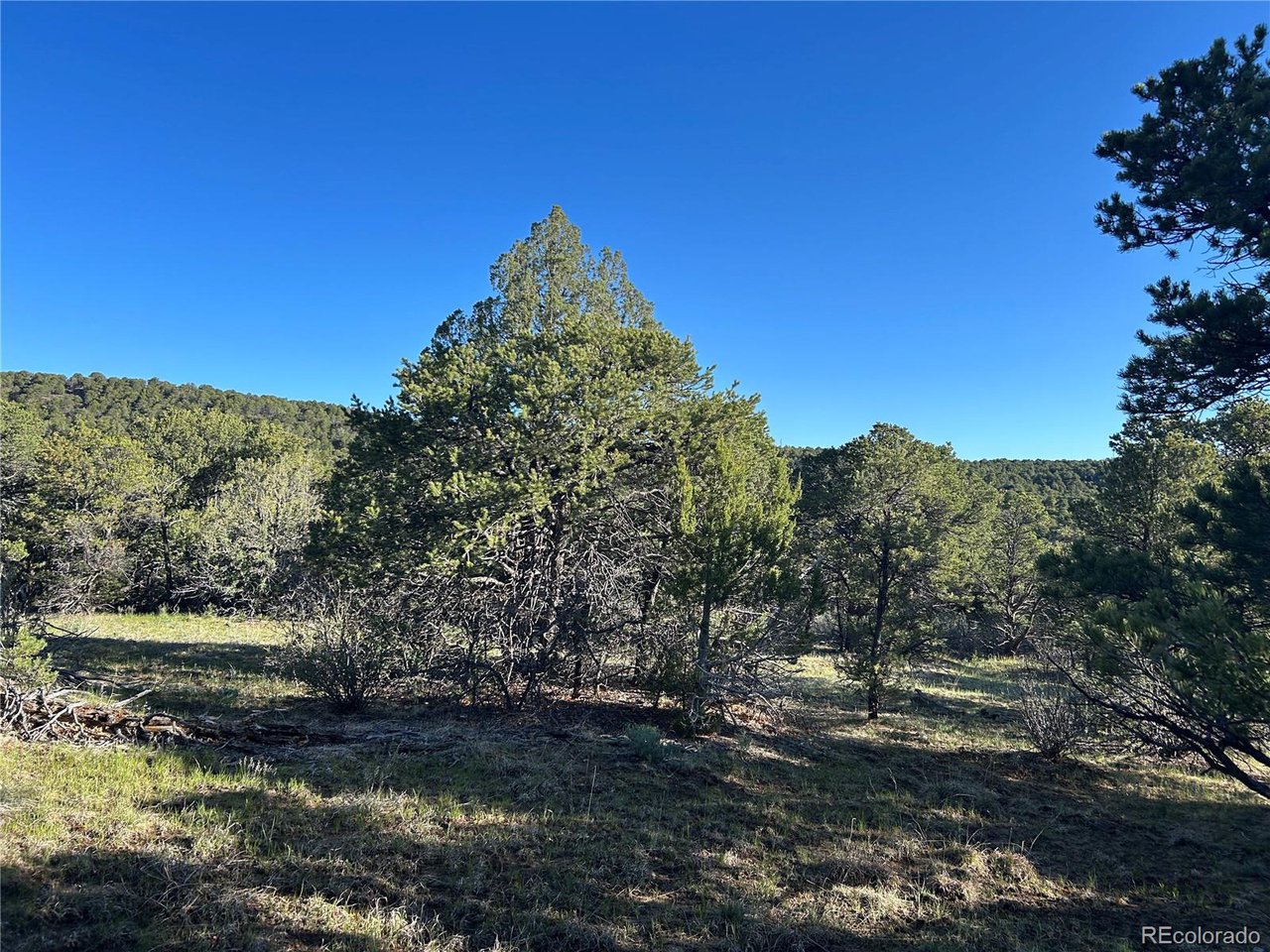 165 Silver Spur Road Walsenburg, CO 81089 - Photo 10 of 18 a view of a lake with a mountain in the background