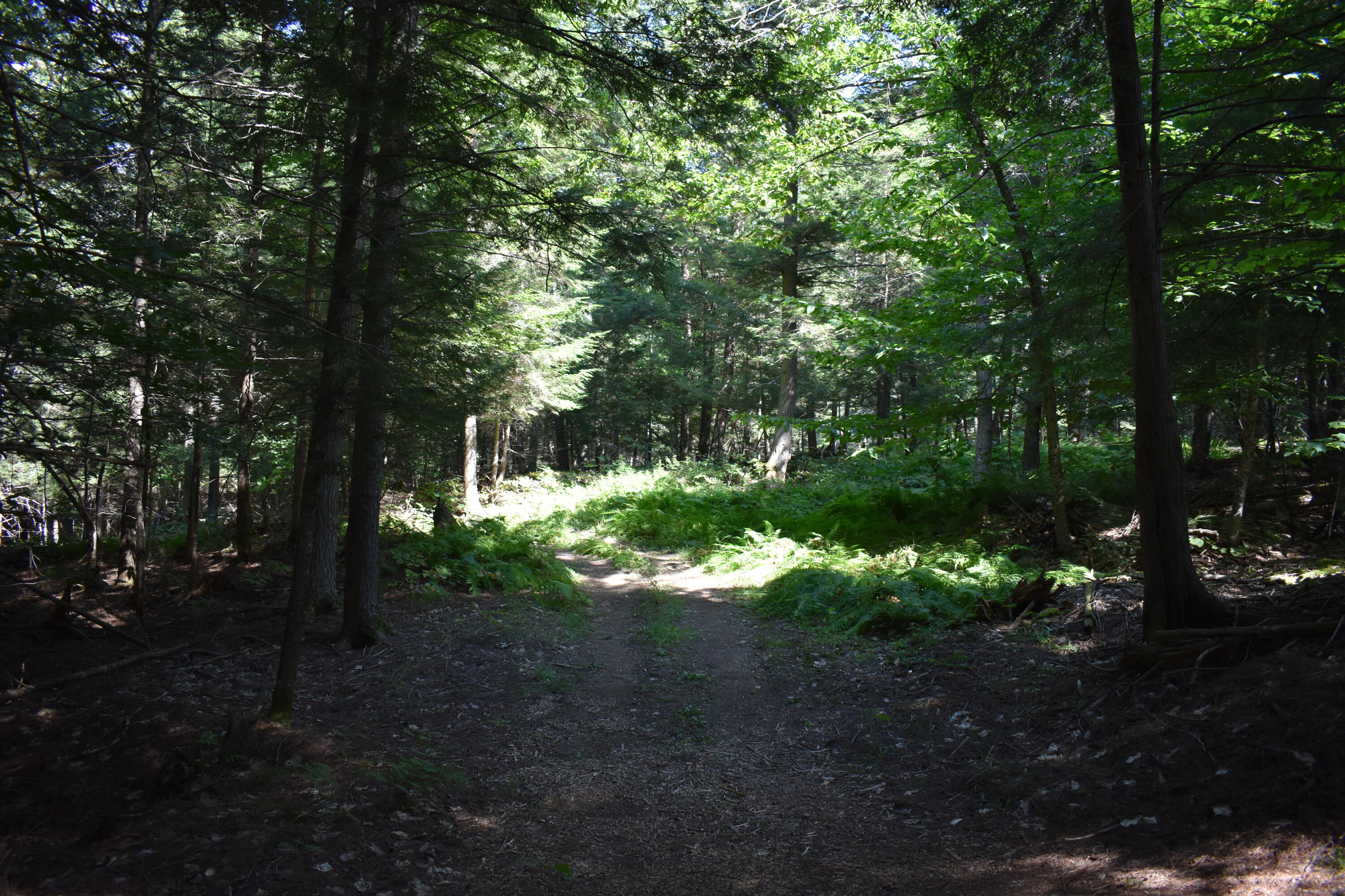 2881 Lee Road Lee, ME 04455 - Photo 55 of 63 DSC_0312
