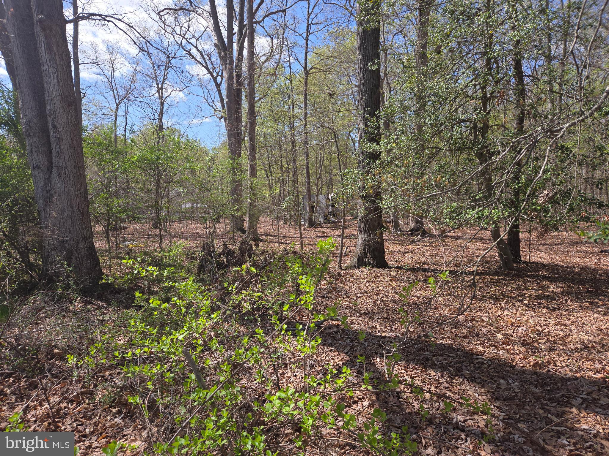 Newasa Lane Accokeek, MD 20607 - Photo 3 of 9