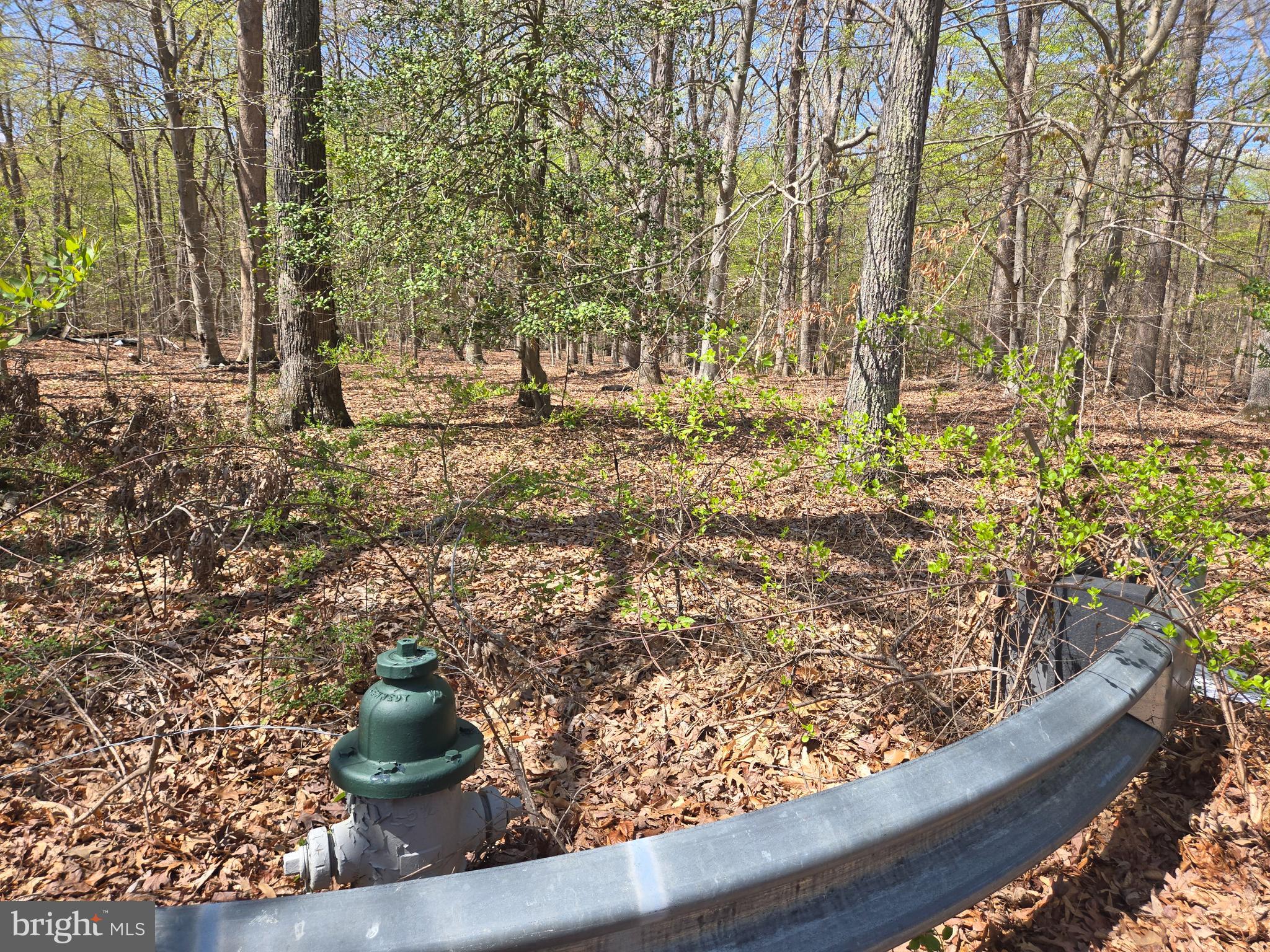 Newasa Lane Accokeek, MD 20607 - Photo 4 of 9