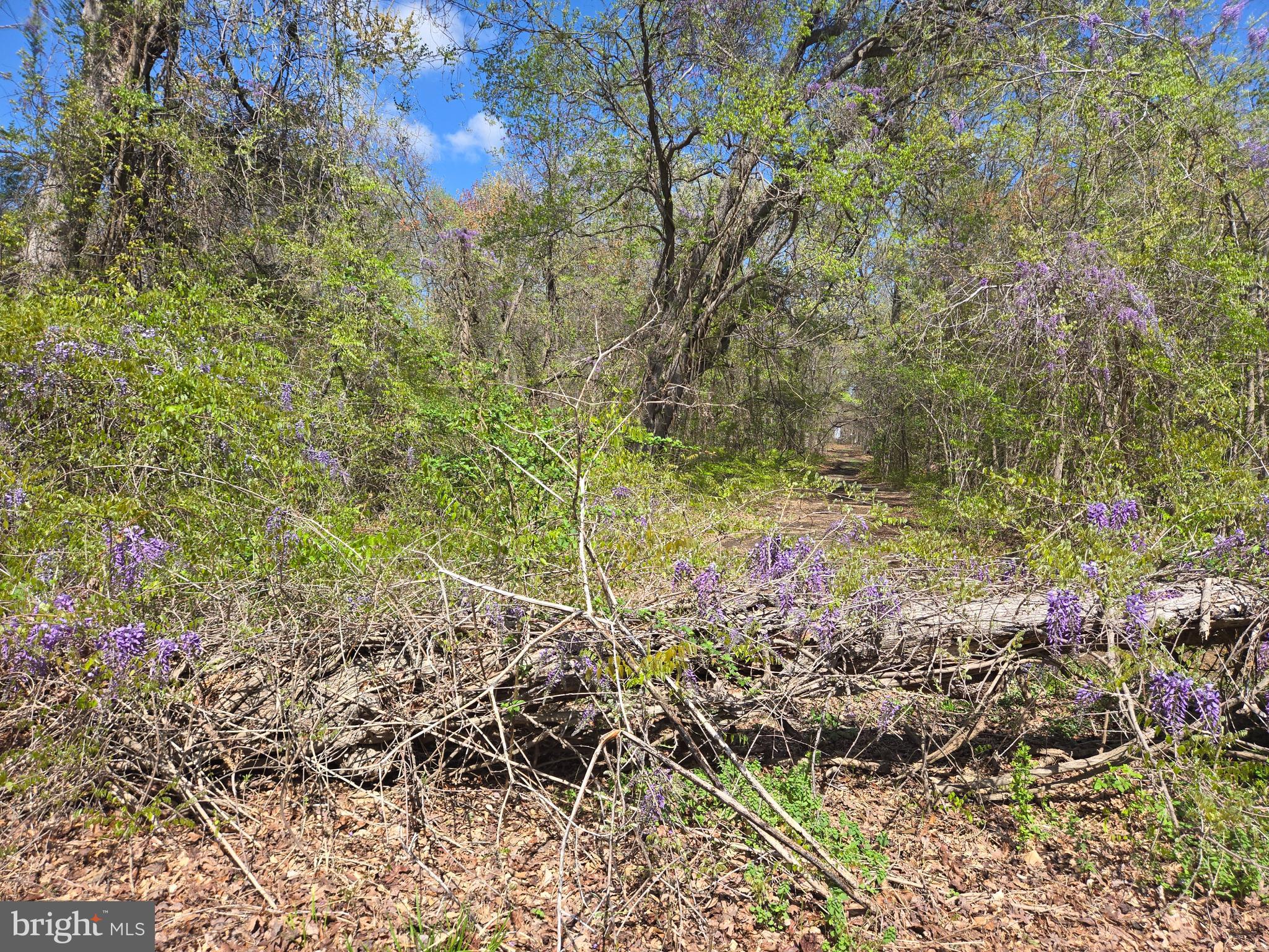 Newasa Lane Accokeek, MD 20607 - Photo 5 of 9