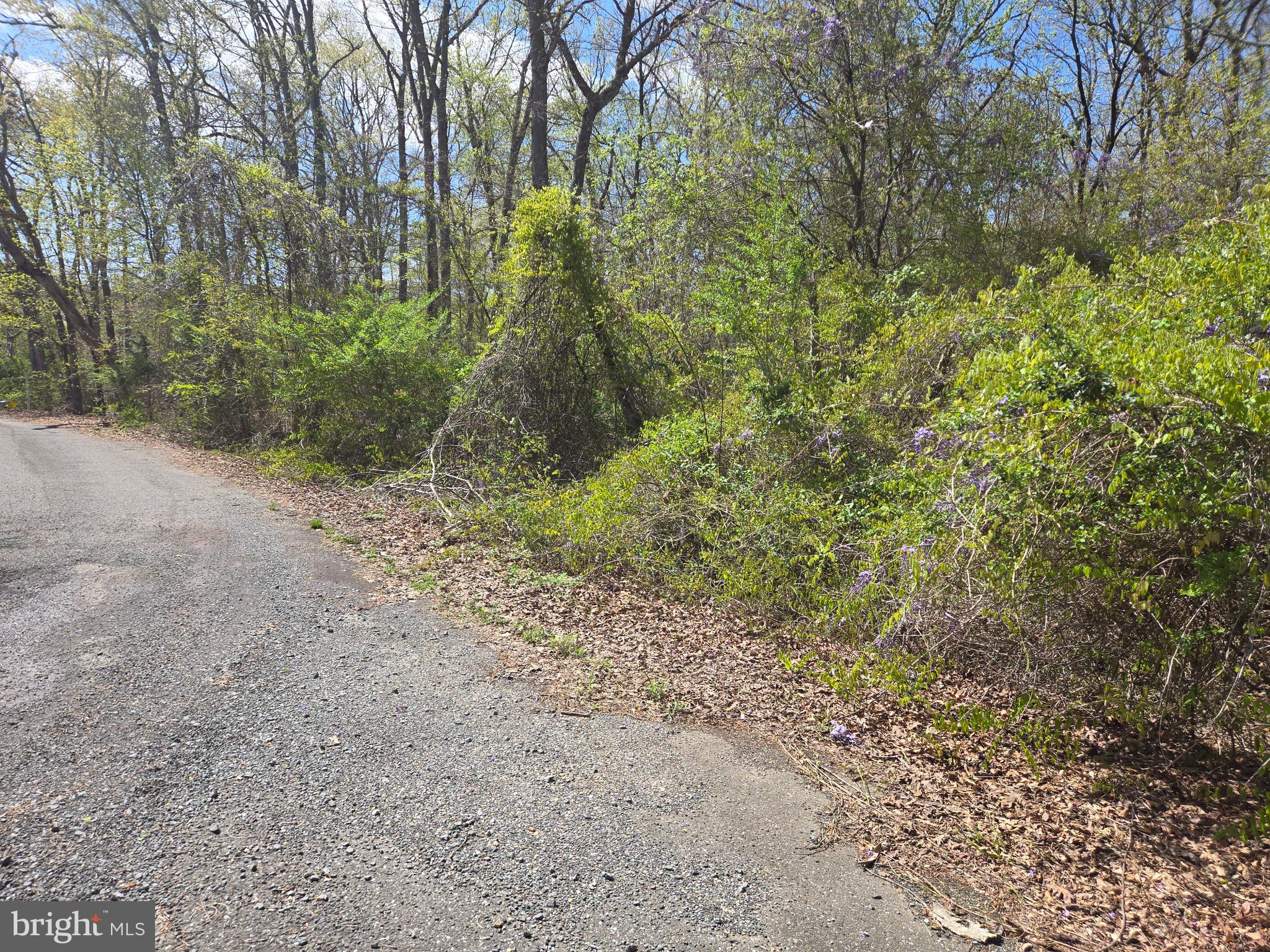 Newasa Lane Accokeek, MD 20607 - Photo 7 of 9