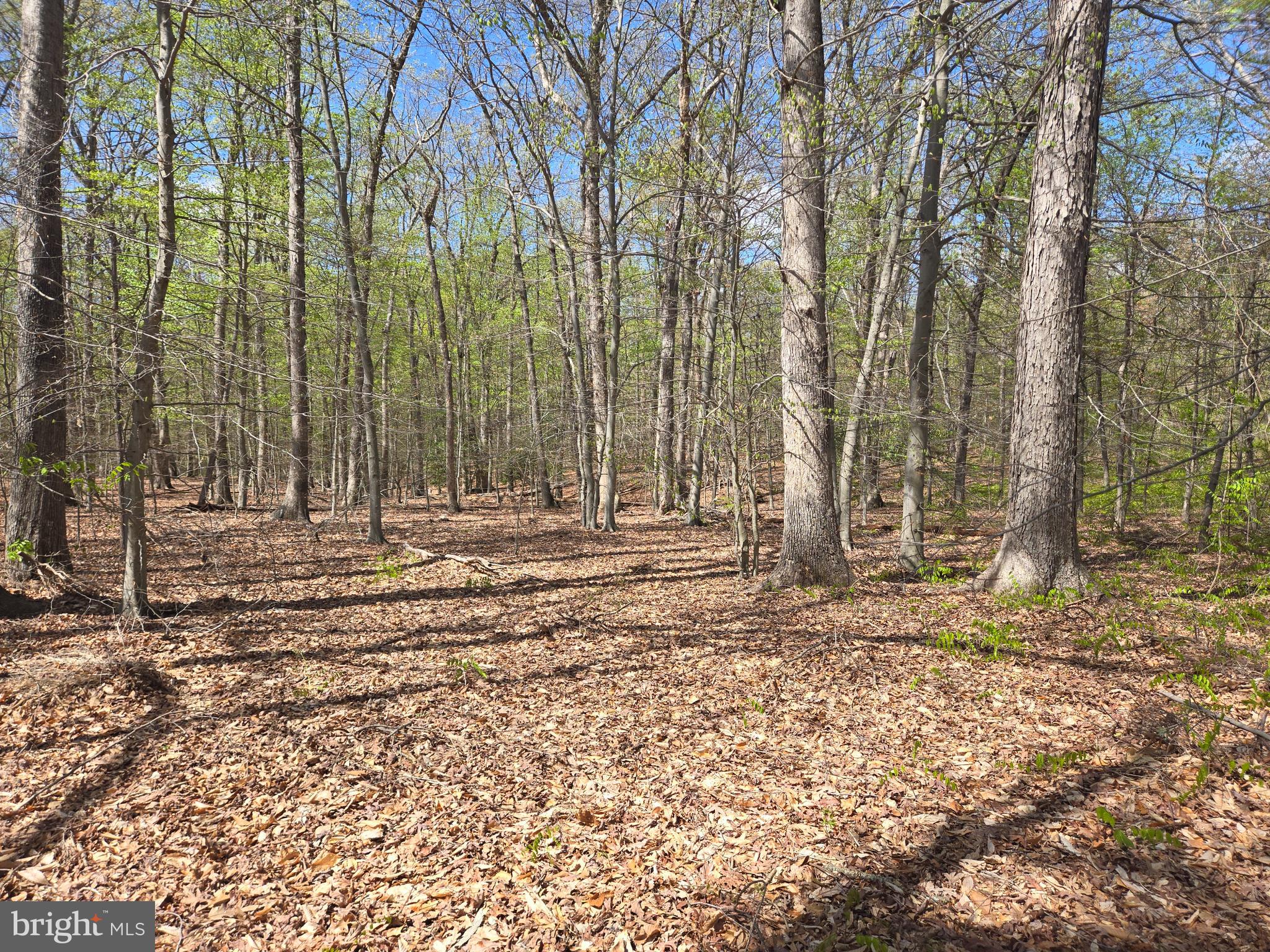 Newasa Lane Accokeek, MD 20607 - Photo 8 of 9