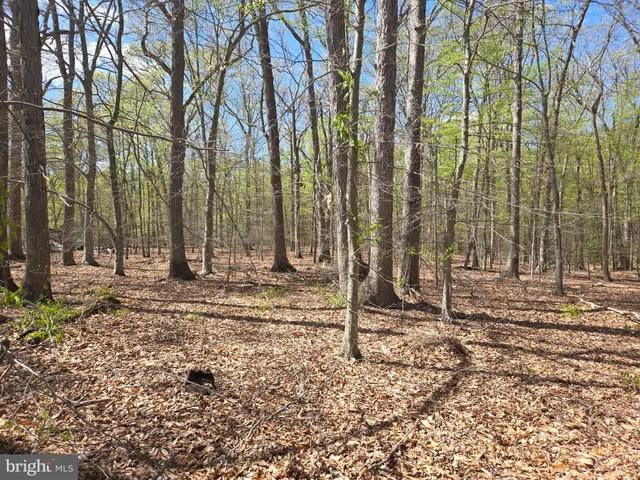 $250,000 | Newasa Lane, Accokeek, MD 20607