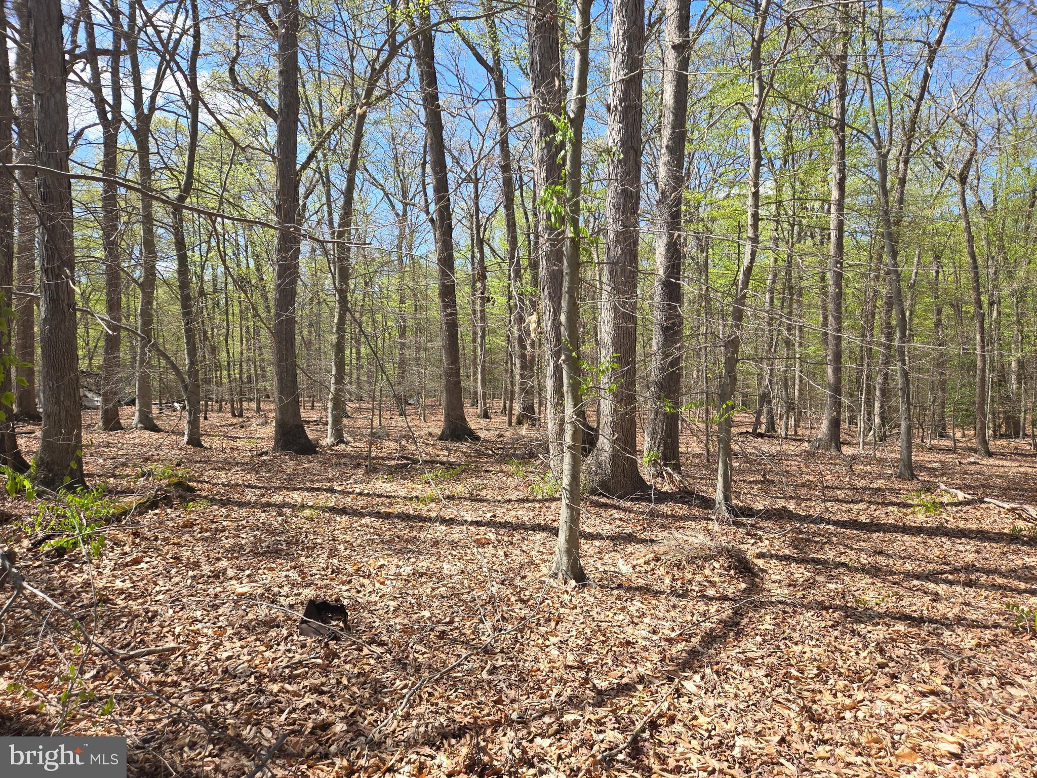 Newasa Lane Accokeek, MD 20607 - Photo 9 of 9